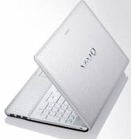 Sony VAIO E VPCEH35EN Laptop (Core i3 2nd Gen/2 GB/320 GB/Windows 7/512 MB)