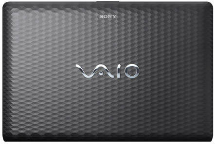 Sony VAIO E VPCEL25EN Laptop (APU Dual Core/2 GB/500 GB/Windows 7)