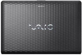 Sony VAIO E VPCEL25EN Laptop (APU Dual Core/2 GB/500 GB/Windows 7)
