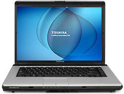 Toshiba Satellite Pro A210-EZ2203X Laptop (AMD Turion Dual Core/2 GB/120 GB/Windows XP)