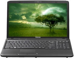 Toshiba Satellite C665D-M5010 Laptop (APU Dual Core/2 GB/500 GB/DOS)