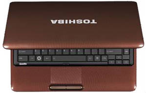 Toshiba L650-X5310 (Core i5 1st Gen/4 GB/500 GB/Windows 7HP/1 GB)
