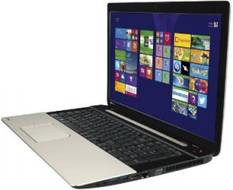 Toshiba L70-B-14Z (Core i5 5th Gen/8 GB/1 TB/Windows 8.1/2 GB