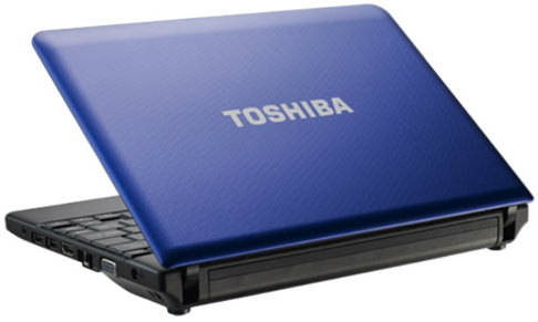 Toshiba Netbook NB510-A1110 Netbook (Atom Dual Core 2nd Gen/2 GB/320 GB/Windows 7)