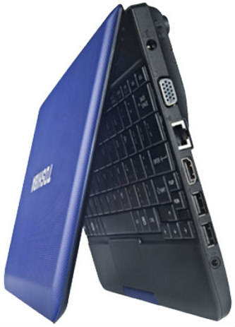 Toshiba Netbook NB510-A1110 Netbook (Atom Dual Core 2nd Gen/2 GB/320 GB/Windows 7)