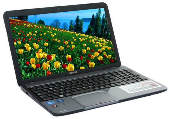 Toshiba Satellite L850-i2011 Laptop (Core i3 3rd Gen/4 GB/750 GB/DOS/1 GB) Price