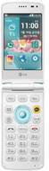 LG Ice Cream Smart