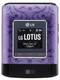 LG Lotus LX600