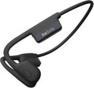 NG Earsafe Pro Mini