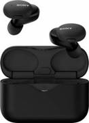 Sony WF-H800