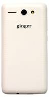 Monix Ginger