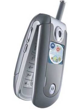 Motorola E815