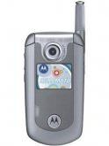 Motorola E815 Price