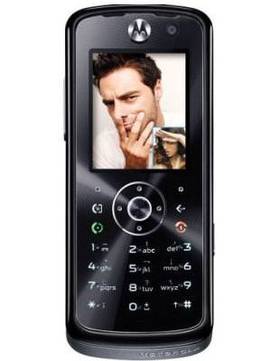 Motorola L800t