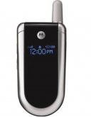 Motorola V186 Price