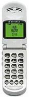 Motorola V50