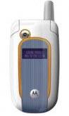 Motorola V501