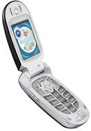 Motorola V557
