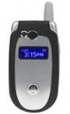 Motorola V557