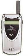 Motorola V60