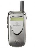 Motorola V60i Price