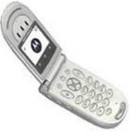 Motorola V66