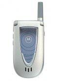 Motorola V66 Price