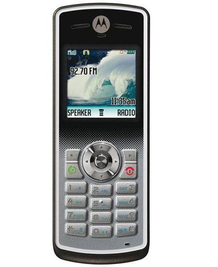 Motorola W181 Price