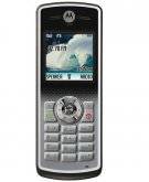 Motorola W181