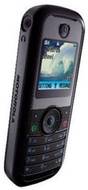 Motorola W205