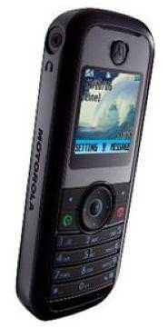 Motorola W205