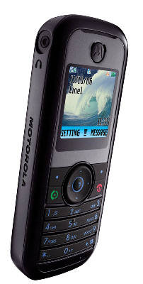 Motorola W205