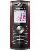 Motorola W208 price in India
