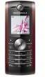 Motorola W208