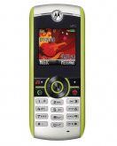 Motorola W231 price in India