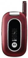 Motorola W315