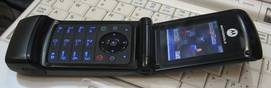 Motorola W355