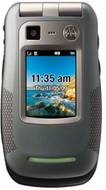 Motorola W845 Quantico