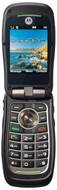 Motorola W845 Quantico