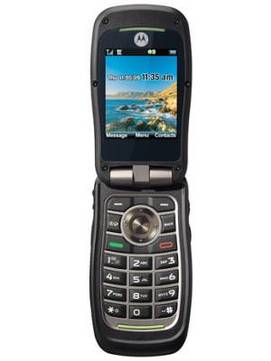 Motorola W845 Quantico
