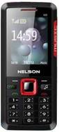Nelson N33