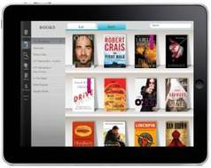 Notion Ink Adam Transflexive Display and WiFi
