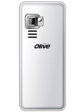 Olive Bigg V-G3201