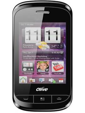 Olive VG71