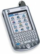 Palm Tungsten W