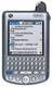 Palm Tungsten W