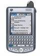Palm Tungsten W