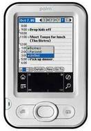 Palm Z22