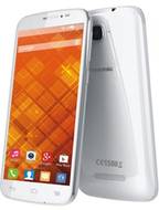 Panasonic P31