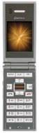 Pantech GI100